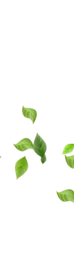 Leaf Image